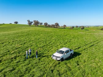 Bumbaldry Road Greenethorpe NSW 2809 - Image 3