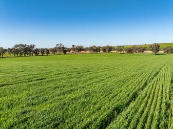 Bumbaldry Road Greenethorpe NSW 2809 - Image 1