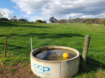 2/ Beatons Road Jancourt VIC 3266 - Image 3