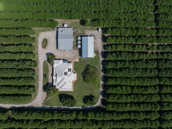 32 Beerburrum Donnybrook Road Donnybrook QLD 4510 - Image 3