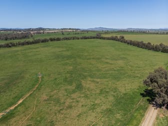 405 Loomberah Road Calala NSW 2340 - Image 2