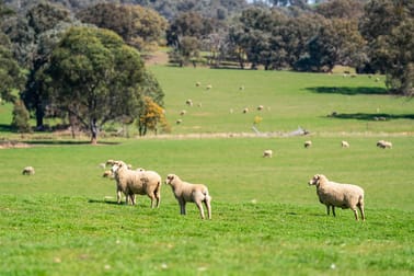 714 Stonehaven Road Holbrook NSW 2644 - Image 3