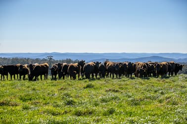 193 Faheys and Bulgins Road Hernani NSW 2453 - Image 2