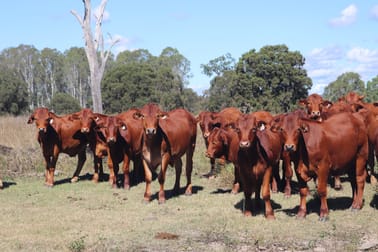 789 Coppin Road Mungungo QLD 4630 - Image 1