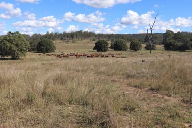 789 Coppin Road Mungungo QLD 4630 - Image 2