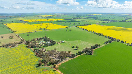 162 Back Ferndale Road Rand NSW 2642 - Image 1