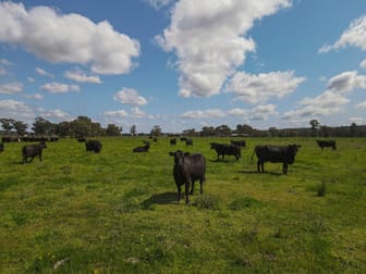 140 Amors Lane Forbes NSW 2871 - Image 2