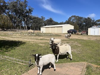 285 Gumnut Crescent Bungonia NSW 2580 - Image 2