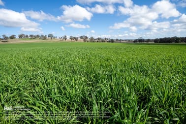 "Bellmain" Renshaw McGirr Way Yeoval NSW 2868 - Image 1