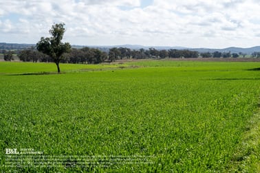 "Bellmain" Renshaw McGirr Way Yeoval NSW 2868 - Image 3
