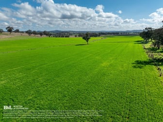 "Bellmain" Renshaw McGirr Way Yeoval NSW 2868 - Image 2