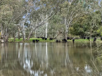 146 Hobans Road Alexandra VIC 3714 - Image 1