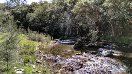 2469 Cells Road Cells River NSW 2424 - Image 3