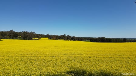 670 Six Mile Road Mayanup WA 6244 - Image 2