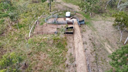 255 Sandy Camp Road Majors Creek QLD 4816 - Image 2
