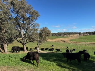 1182 Yalbraith Road Taralga NSW 2580 - Image 3