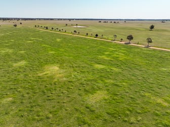 Greendale Aggregation West Wyalong NSW 2671 - Image 2