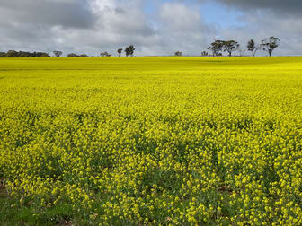 17679 Great Southern Highway Hillside WA 6312 - Image 3