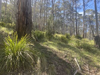 Lot/129 Sheepstation Forest Road Gingkin NSW 2787 - Image 1