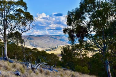 Lot/129 Sheepstation Forest Road Gingkin NSW 2787 - Image 2