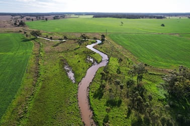 "Springvale" 402 Kerriwah Road Tullamore NSW 2874 - Image 1
