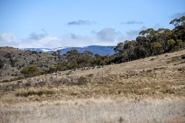 "Spring Hill" 62 Eucumbene Road Hill Top NSW 2628 - Image 1