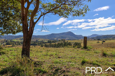 Lot 30, 46 Lynches Creek Road Wiangaree NSW 2474 - Image 1