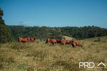 Lot 27, 46 Lynches Creek Road Wiangaree NSW 2474 - Image 1