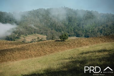 Lot 28, 46 Lynches Creek Road Wiangaree NSW 2474 - Image 2