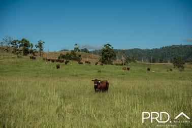 Lot 27, 46 Lynches Creek Road Wiangaree NSW 2474 - Image 3