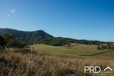 Lot 27, 46 Lynches Creek Road Wiangaree NSW 2474 - Image 2