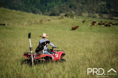 Lynches Creek Road Wiangaree NSW 2474 - Image 3