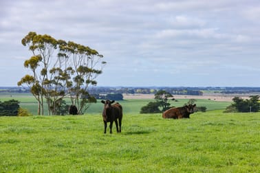 521 Mill Road Strathkellar VIC 3301 - Image 3