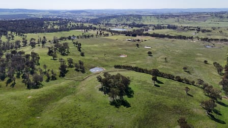 160 Aberbaldie Road Walcha NSW 2354 - Image 1