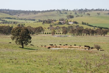 160 Aberbaldie Road Walcha NSW 2354 - Image 2