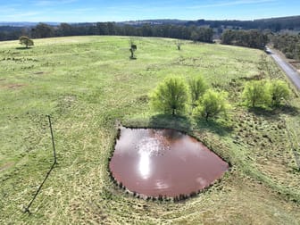 60 Bucky Springs Road Bombala NSW 2632 - Image 2