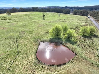 60 Bucky Springs Road Bombala NSW 2632 - Image 2