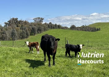 95 Granite Road Lurg VIC 3673 - Image 2