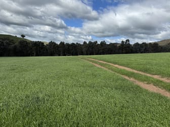 95 Granite Road Lurg VIC 3673 - Image 3