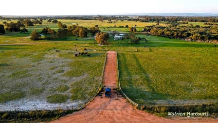Lot 64 Muckenburra Road (Muckenburra) Gingin WA 6503 - Image 2