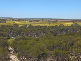 998 Watson Road Latham WA 6616 - Image 1