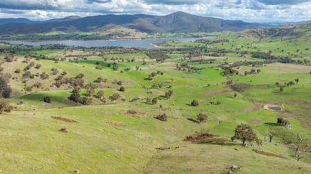 'Dalkeith'/2159 Wymah Rd Wymah NSW 2640 - Image 1