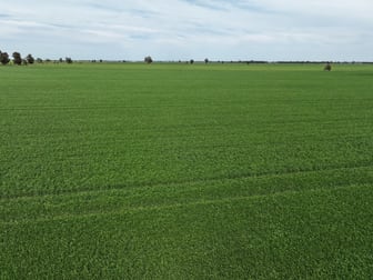 849 Brushwood North Rd Coolamon NSW 2701 - Image 1