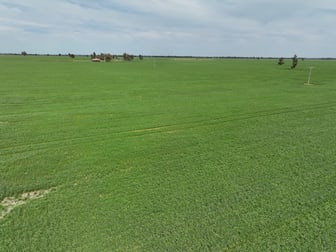 849 Brushwood North Rd Coolamon NSW 2701 - Image 3