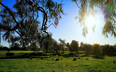 745 Balmattum North Road Balmattum VIC 3666 - Image 1
