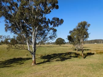 243 Mount Darragh Rd South Pambula NSW 2549 - Image 3