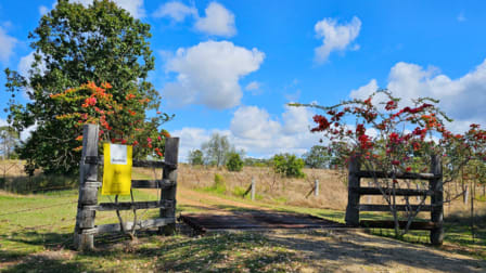 991 Mount Steadman Road Mount Steadman QLD 4625 - Image 1