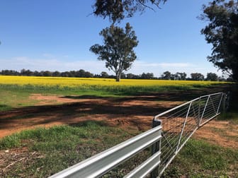 Lot 155 DP750852 Burley Griffin Way Ariah Park NSW 2665 - Image 1