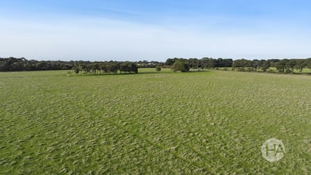 307 Sandy Point Road Somers VIC 3927 - Image 3