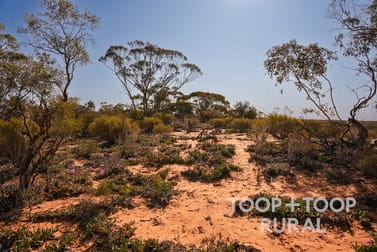 1265/ Warnecke Road Monash SA 5342 - Image 3